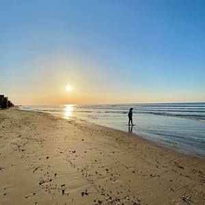 Meet your Posher, Casey